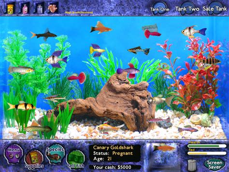 fish breeding games|Fish Tycoon on Steam.